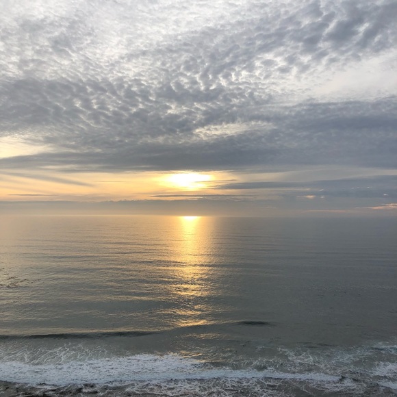 Meet your Posher, Hailey - Picture 1 of 1